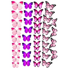 Бабочки №5